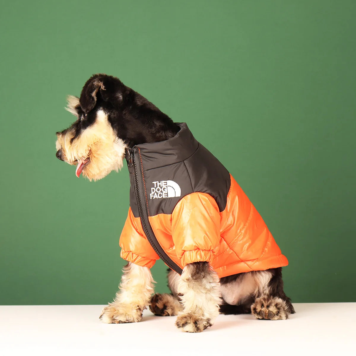 Winter Dog Jacket