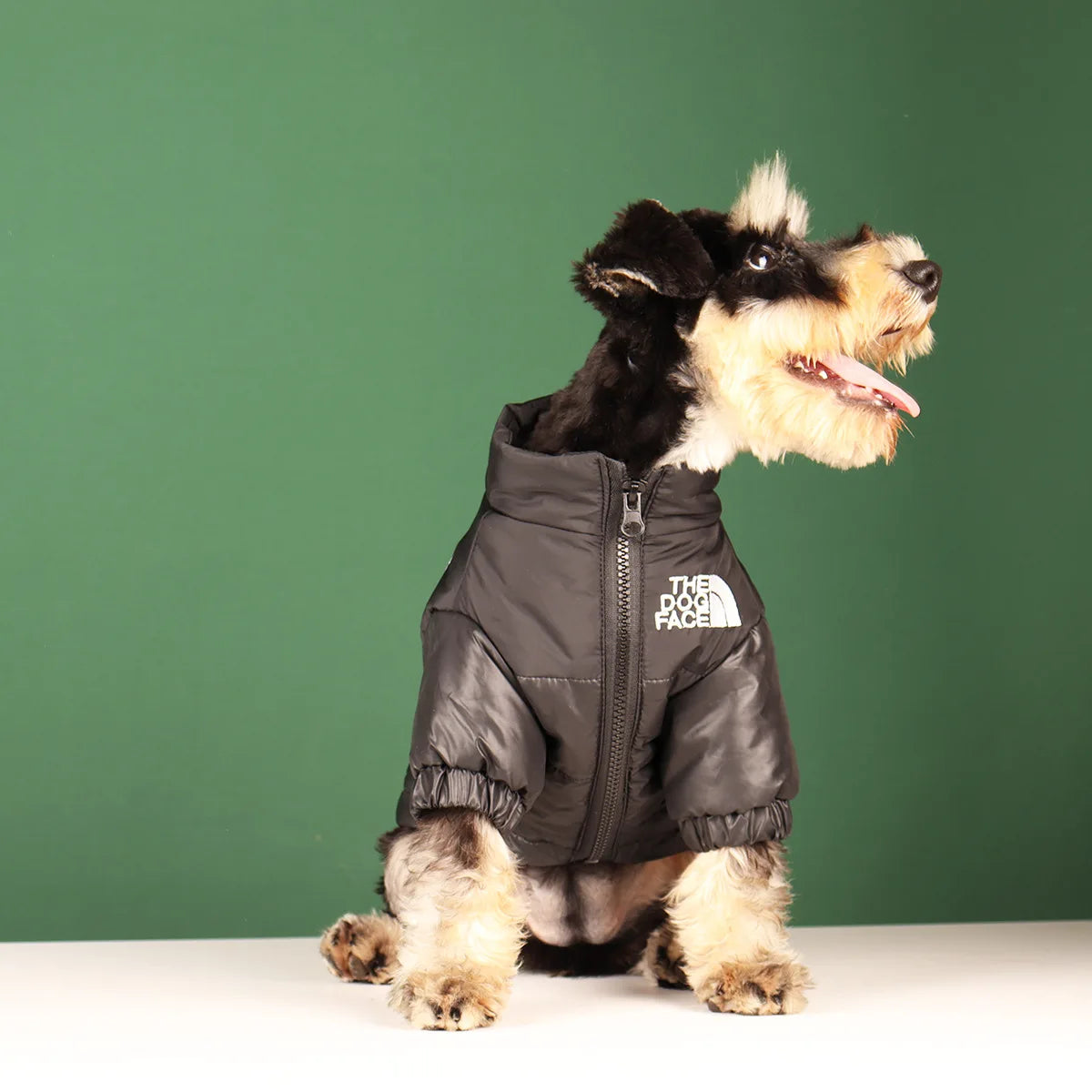 Winter Dog Jacket