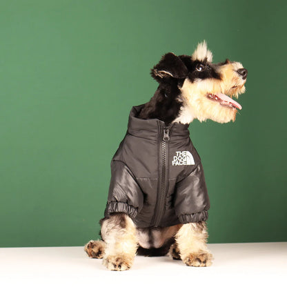 Winter Dog Jacket