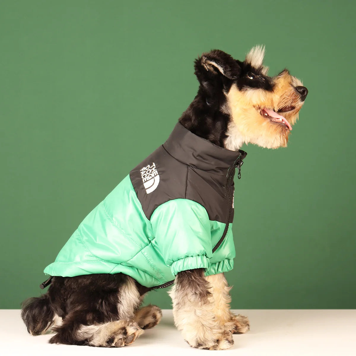 Winter Dog Jacket
