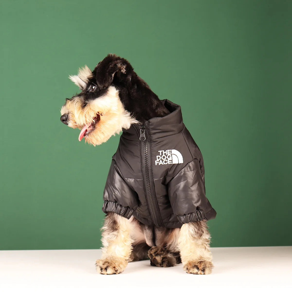Winter Dog Jacket