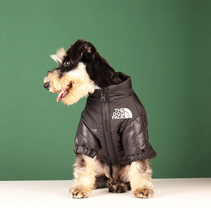 Winter Dog Jacket