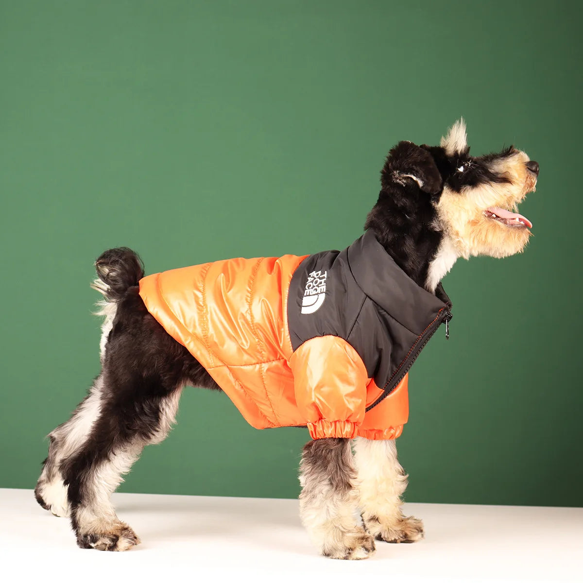 Winter Dog Jacket