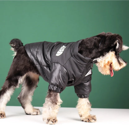 Winter Dog Jacket