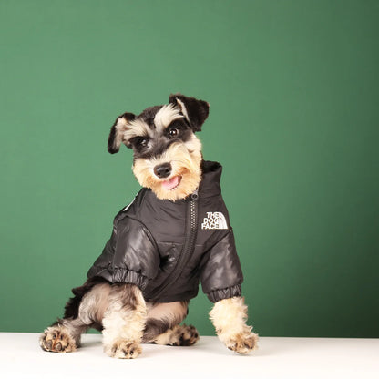 Winter Dog Jacket
