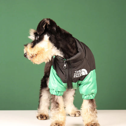 Winter Dog Jacket